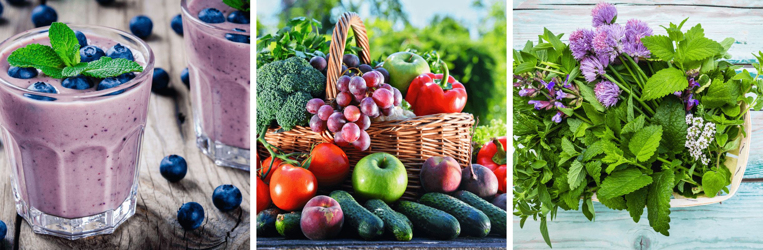 Nutritional Counselling Header